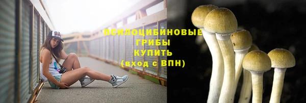 соль ск Мегион