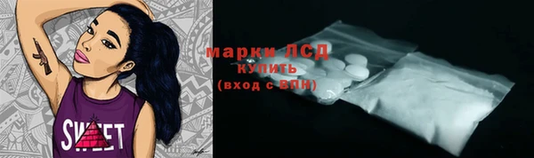 спиды Магас