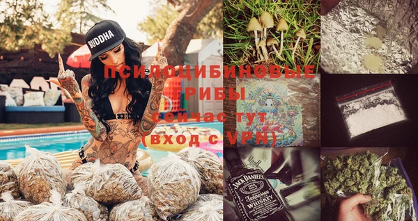 спиды Магас